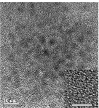 Figure 4 shows a TEM image of the purified Cd 3 P 2 MSNs.