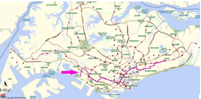 Figure 5.2 - Example of a trunk bus route (#33), route shown in magenta  Source: MyTransport.sg 
