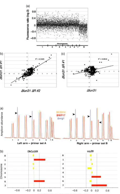 Fig. 4. Aneuploidy detection with a multiplex PCR assay. (a) Bioanalyzer profiles of multiplex PCR reactions using primer set A (left panel) or primer set B (right panel)