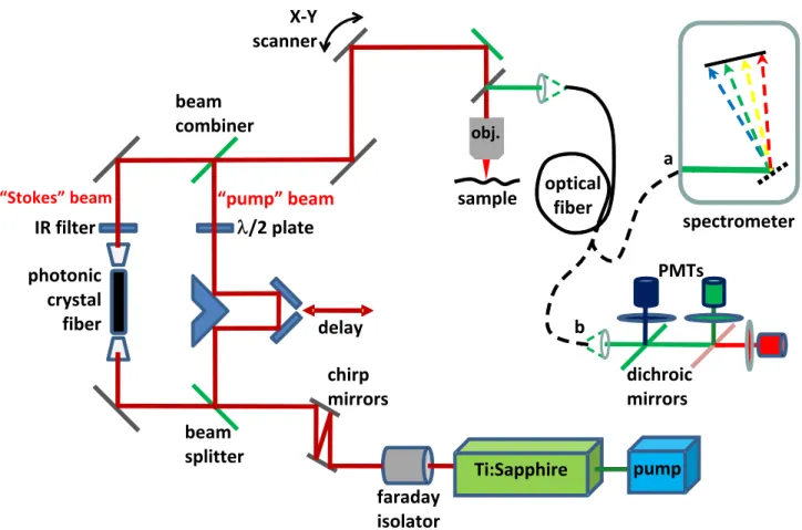 Figure 2: Schematic of home built multi-photon microscope modified for two-photon spectral acquisition