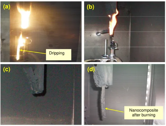 Figure 5. Flammability behavior of BVE and its nanocomposites  during burning: (a) BVE, (b) BVE nanocomposite;  