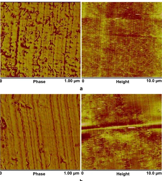 Fig. 4 AFM micrographs of PC/5 wt.% MWCNT nanocomposites prepared at a 210 ◦ C and b 250 ◦ C