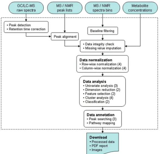 Figure 1. A diagram illustrating MetaboAnalyst’s workﬂow and data processing options. Diﬀerent data inputs are ﬁrst transformed into compatible data matrices using several diﬀerent processing methods
