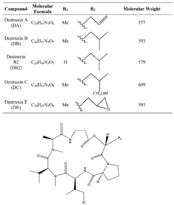 Fig. 1 Chemical structures of the five destruxins isolated and purified from Metarhizium anisopliae.