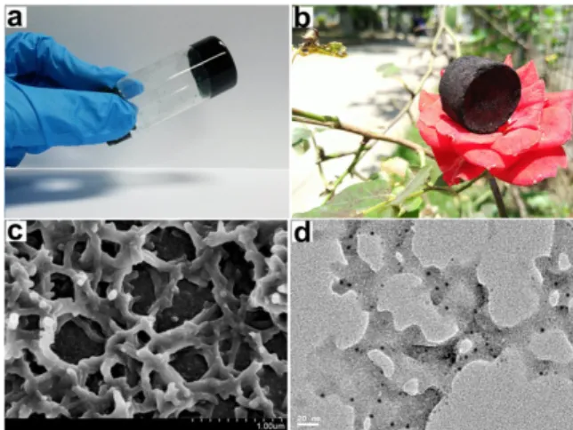 Figure 8. A nanocomposite hydrogel by Liang et al. shown in (a) had an extremely low density upon  solvent removal, as seen by its aerogel balancing on a flower in (b), due to high porosity, as shown in  micrographs (c) and (d)
