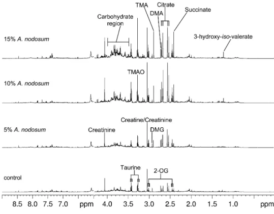 FIGURE 2 The 500-MHz 1 H NMR spectra of urine samples collected at the end of the 4-h feeding period from control and A.