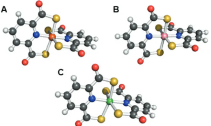 Fig. 5 Molecular diagram of the siderophore complex from the crystal structure of desferrioxamine E-triaquaplutonium( IV ) (CCDC ID: