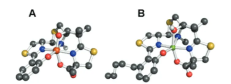 Fig. 1 Ball-and-stick representations of the metal complexes from the crystal structures of (A) yersiniabactin – Fe( III ) (CCDC ID: 619878) 31 and (B) micacocidin – Zn( II ) (micacocidin A, CCDC ID: 130920)