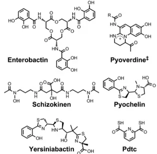 Fig. 2 Thermal ellipsoid diagrams from the crystal structures of the (A) vanadium and (B) silicon complexes of enterobactin (CCDC ID: 624678 and 920703, respectively)