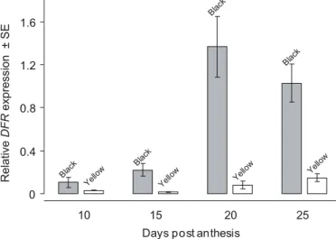 Fig. 8. Southern blot analysis of genomic DNA. PCR-amplified genomic DNA of Brassica napus with primers at the two extreme ends of the deduced ORF was used for probing