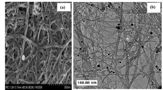 Figure 2. (a) SEM micrograph and (b) TEM micrograph of filtrand following reaction of reduced SWCNT with DMSO and subsequent filtration through a 0.2 µm PTFE membrane.