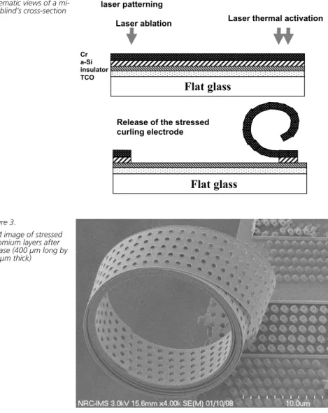 Figure 3 shows a test device (coil, not  a micro-blind) consisting of 8 turns of  the stressed layer