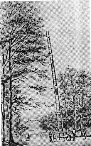 Fig.  1.5  Prospect Park, Brooklyn, Tree Trimming Machine,  1868,  from Fein.