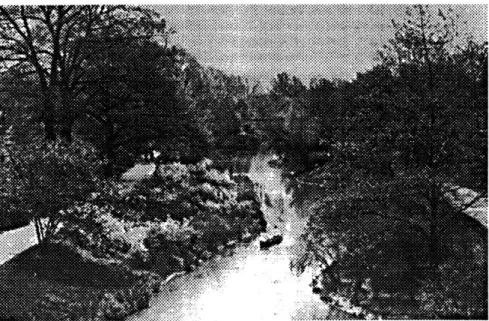 Fig. 2.2  The Riverway, Back Bay Fens,  30 years later, from Spim (1984).