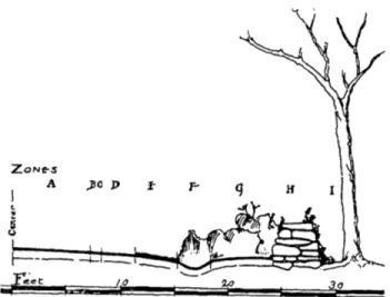 Fig.  2.3  Zonal distribution  of vegetation at roadside, section,  1931,  from Waugh.
