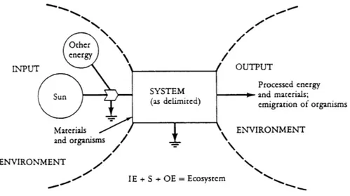 Fig.  2.4.  Model  of an ecosystem,  from  E. Odum,  (1989).