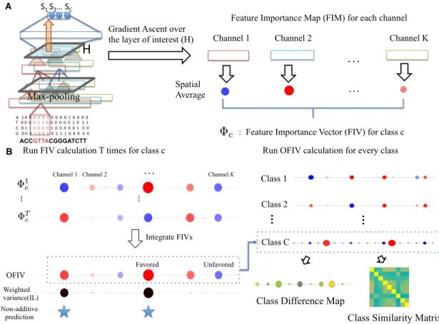 Figure 2-1: Illustration of DeepResolve’s working flow.(A) Feature Importance Vectors calculation