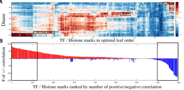 Figure 2-9: (A)Bi-clustering of TF/histone mark - DNase hypersensitivity similarity map (the highlighted box in Figure 2-8), x-axis are the TF/histone mark experiments and y-axis are DNase hypersensitivity experiments across 125 different cell types.