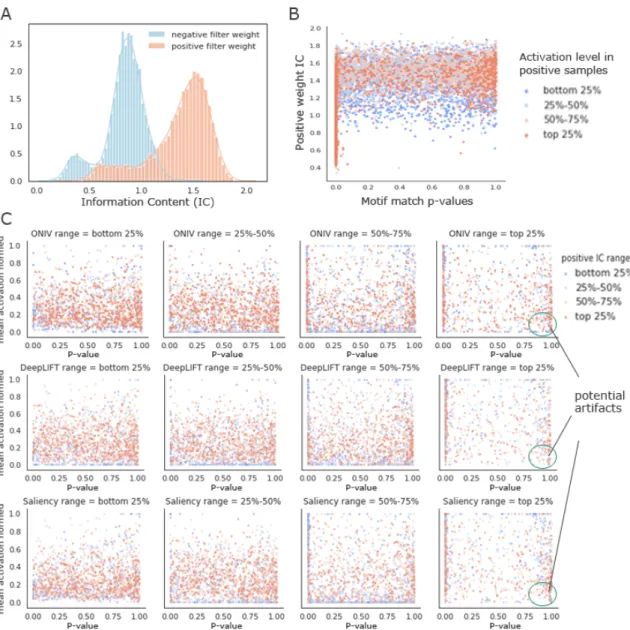 Figure 2-11: (A) Distribution of information content of positive and negative weights in all filters in the 422 TF binding models