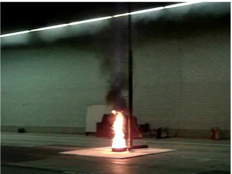 Figure 2.  Small gasoline pool fire. 