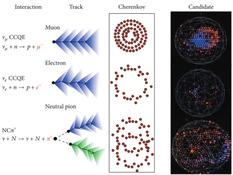 Figure 2: (Color online) MiniBooNE particle reconstruction [4]. From top to bottom, a muon neutrino charged-current quasielastic (CCQE) interaction, an electron neutrino CCQE interaction, and a neutral current, neutral pion production (NC1