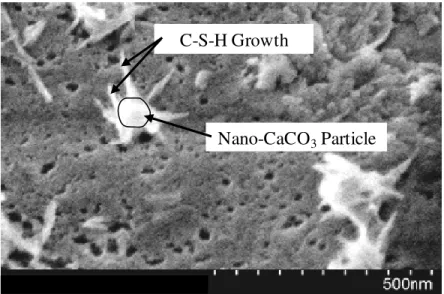Figure 3: SEM image of C-S-H growth around a nano-CaCO 3  particle
