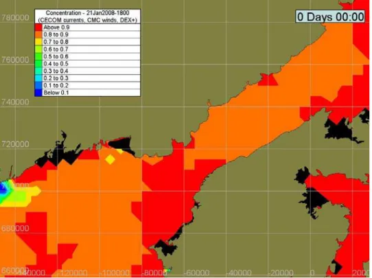 Figure 18: Ice concentration at the beginning of simulation on January 21, 2008 at  18:00Z 