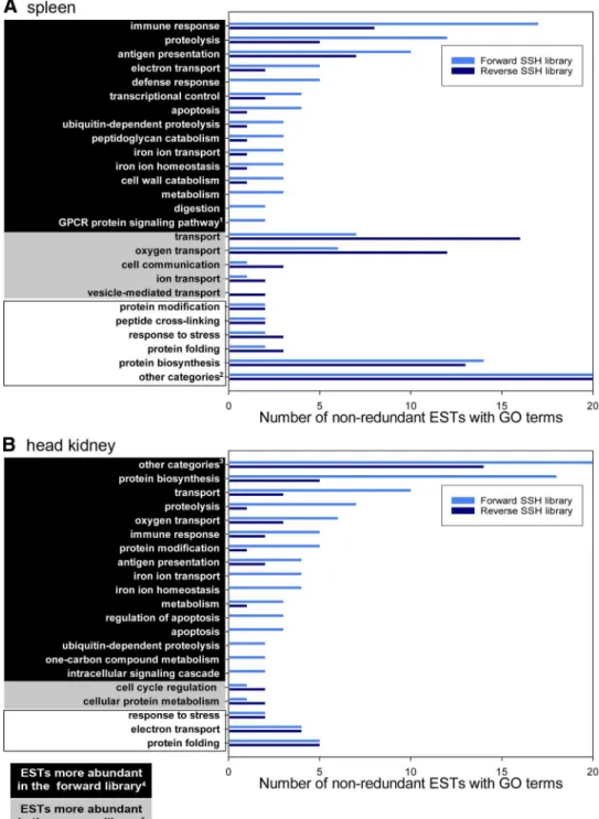 Fig. 2. QPCR analyses of selected genes identified in the SSH libraries. Gene expression data are presented as means (⫾ SE)