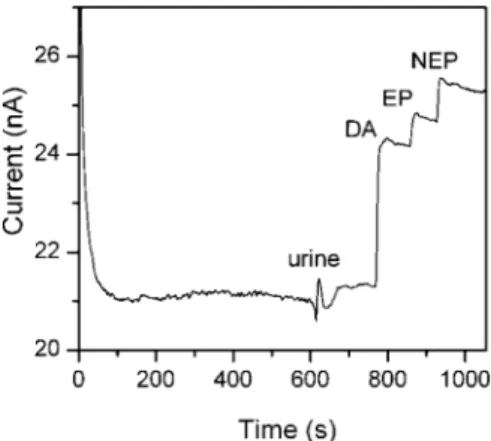 Figure 7. I/t response of the PPy/PAcTy/SBCD-modified BDD at + 0.8 V for 100 nM DA, EP, and NEP spiked in a urine sample