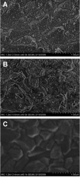 Figure 2. FE-SEM micrographs for the pristine BDD electrode surface before (A) and after the deposition of two layers of PAcTy/