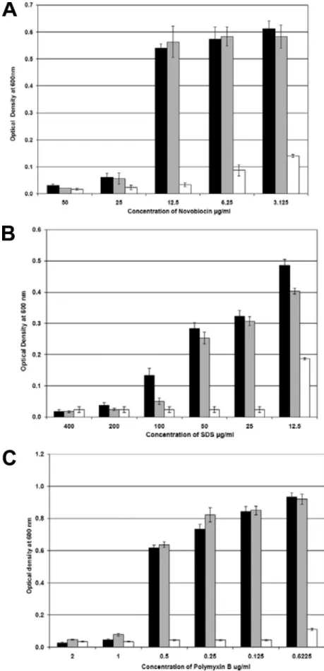 FIG. 6. Removal of the core polysaccharide increases sensitivity to detergent and hydrophobic antibiotics