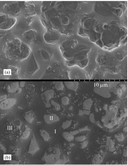 Figure 10. Normal (a) and back-scattered (b) micrographs of the residue after the Hedvall  effect test for the mixture of C-S-H (C/S: 0.6) and excessive silver nitrate