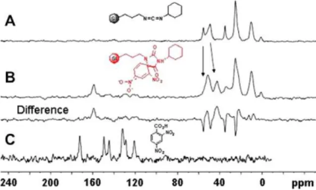 Figure 3. Solid-state 13 C CP/MAS NMR spectra of (A) Si-carbodiimide (Silicycle Inc.); (B) Si-Janovsky and (C) 2,4-dinitrobenzoic acid (DNB) were acquired at 100.65 MHz with TPPM proton decoupling optimized on glycine