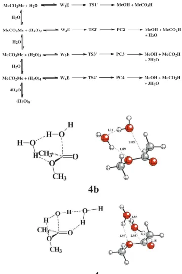 Table 1. Experimental studies of neutral ester hydrolysis.