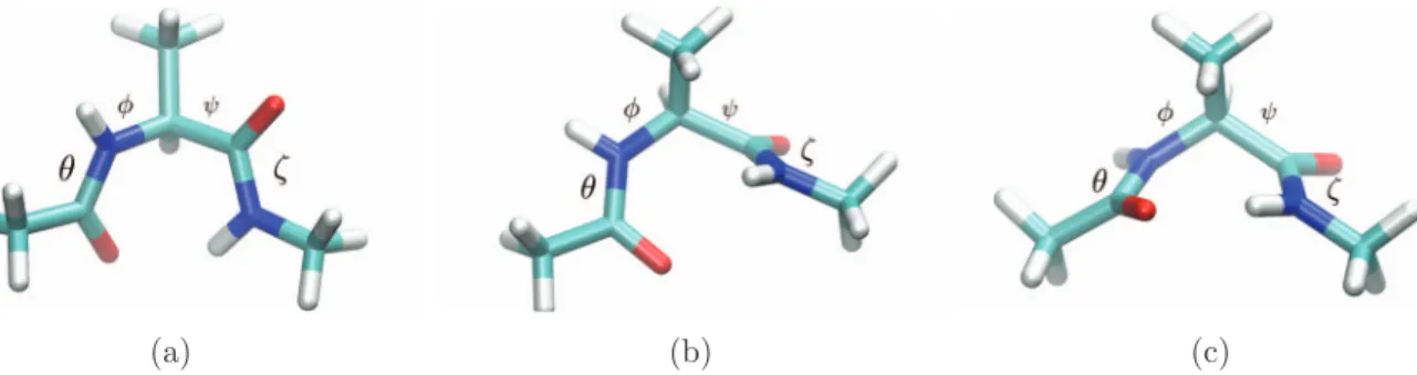 FIG. 7. The C 7eq and C 7ax conformers of alanine dipeptide are shown in (a) and (c), respectively, whereas the alanine dipeptide geometry at the q(s) = 1/2 point along the MFEP is shown in (b)