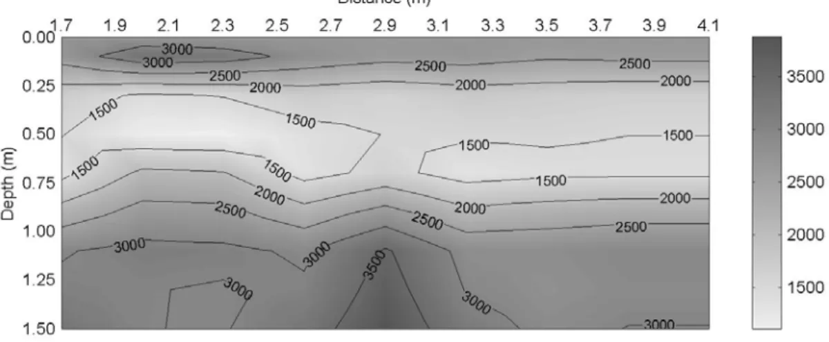 Figure 5 - FK-1: Subsurface image of shear wave velocity (m/s). 