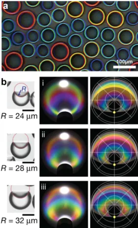 Fig.  2.  a)  Iso-surfaces  of  the  reconstructed  light  fields  behind the bi-phase droplets for different morphologies