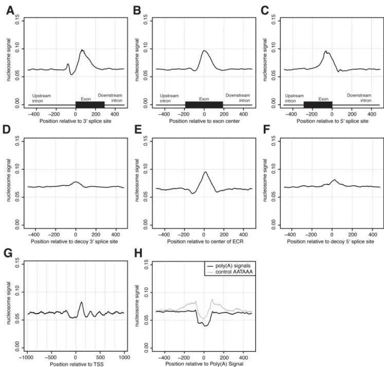 Figure 1. Nucleosome enrichment and depletion in the vicinity of core sites of RNA processing and controls