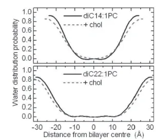 Figure 6. Water probabilities obtained from diﬀerence SLD pro- pro-ﬁles. he top panel compares diC14:1PC bilayers with and without cholesterol (chol), while the bottom panel shows the eﬀect of chol  on the long-chain diC22:1PC bilayers.