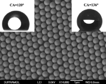 Figure 1 outlines our procedures for the preparation of a superhydrophobic film, which begins with the assembly of monodisperse silica spheres on the surface of a silicon wafer by the evaporation of a suspension of silica spheres in ethanol (figure 1(a)) [