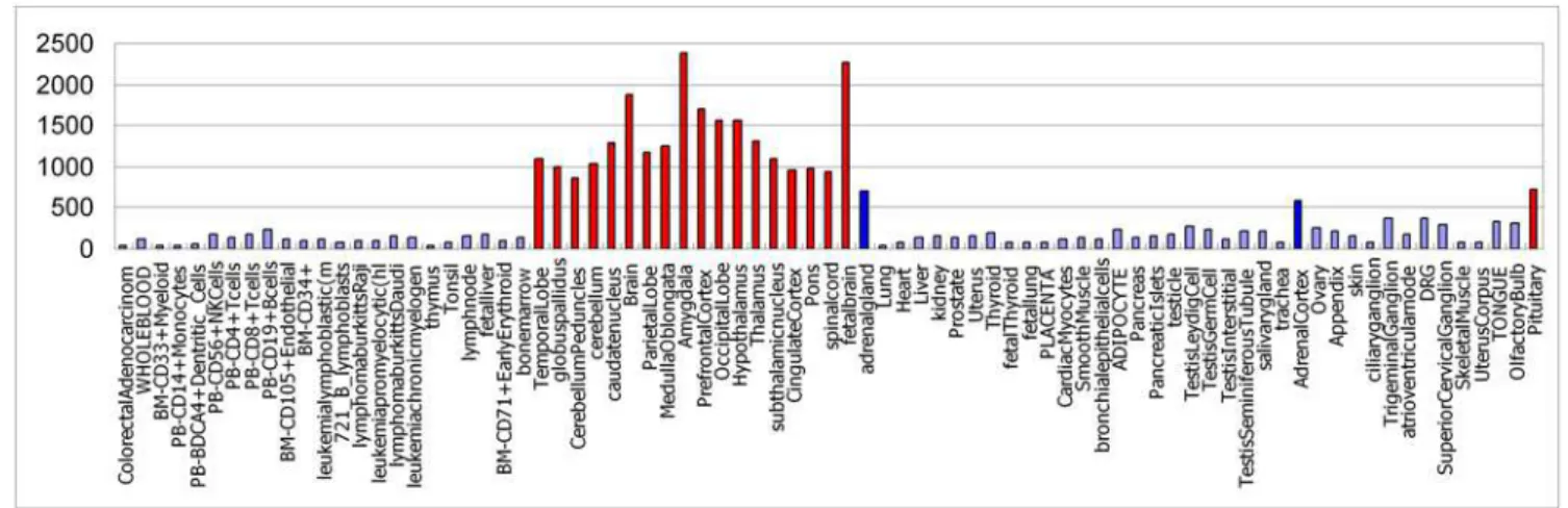 Figure 3. The predicted expression profile of mir-208b, which indicates that mir-208b mainly show high expression values in heart, skeletal muscle, and tongue