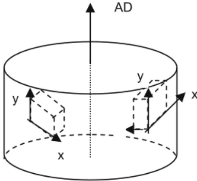 Fig. 1. Parallelepiped localizations in the IMI 834 disk. AD is the axial direction. EBSD investigations are performed on the x–y planes