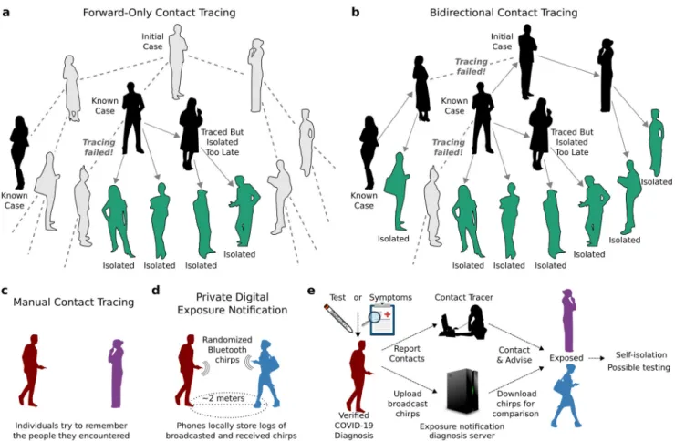 Fig. 1 Forward-only and bidirectional contact tracing and digital exposure noti ﬁ cation