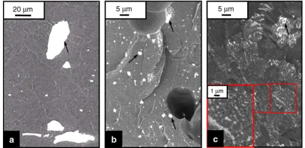 Fig. 8. DRIFT spectra for the PTA–SSA complex formed at a weight ratio of 5 at (a) 125 °C; (b) 280 °C; (c) 450 °C; (d) 650 °C.