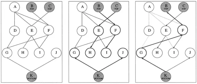 Figure  3-2:  This  figure  shows  a  typical  search  space  for  bidirectional  search