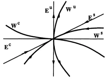 Figure  2-8:  Stable,  unstable  and  center  manifolds  and  subspaces