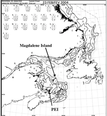 Figure 9: CIS regional ice chart issued on February 23, 2004, 7 days into the run 