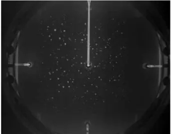 Figure  5.  Full  view  from  the  high-speed  camera  located  inside  the  Impact  Module