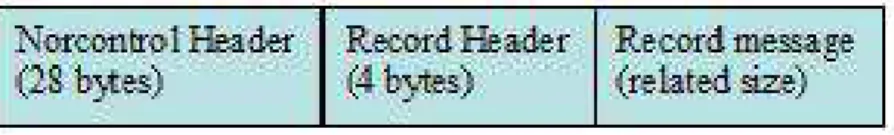 Table 5. CMS Active record 