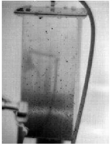 Figure 5: Prototype experimental setup                        Figure 6:  Thermal image of prototype                during experiment
